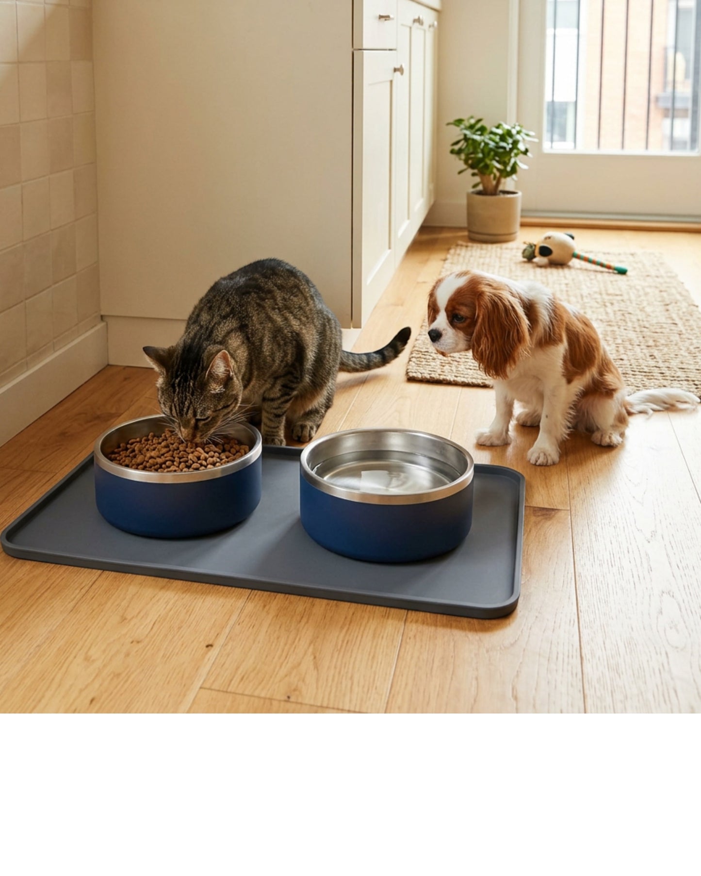 Acorng Stainless Insert Pet Bowl Set Navy 2 Pack 18 oz